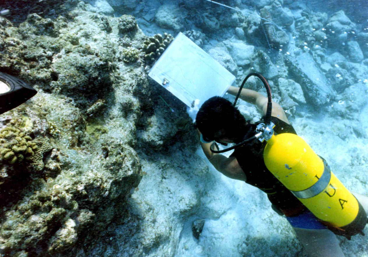 水下探摸、檢查